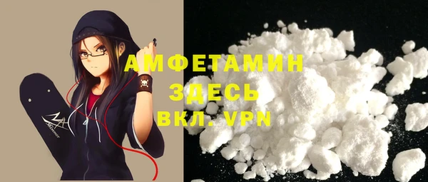 твердый Вяземский