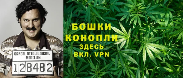 твердый Вяземский