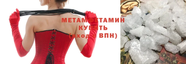 твердый Вяземский