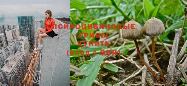 прущие крисы Вязники