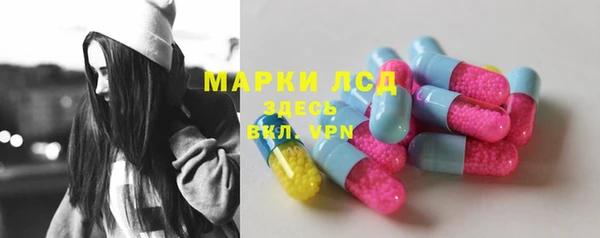твердый Вяземский