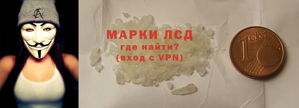 твердый Вяземский