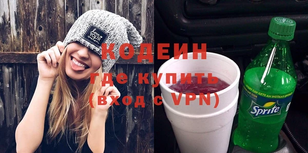 твердый Вяземский