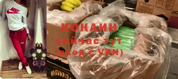 твердый Вяземский