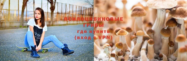 твердый Вяземский